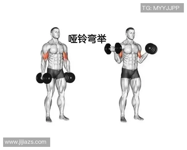 探索哑铃的多样锻炼方法助你全面提升身体素质与力量训练效果